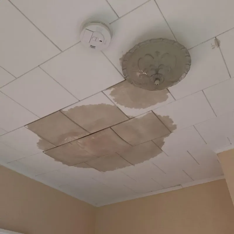 Ceiling Water Damage Repair in West Unity, OH