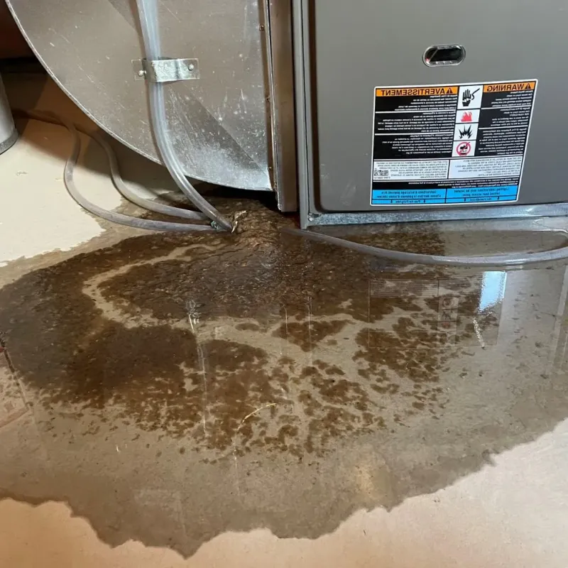 Pipe Burst and Leak Restoration in West Unity, OH