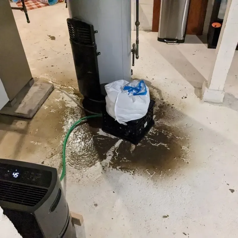 Sewage Backup Cleanup Service in West Unity, OH